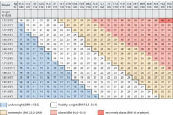 Body Mass Index Chart For Kids