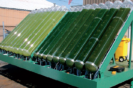 A possible bioreactor design for use of microalgae as an energy source