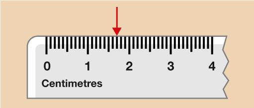 Session 2: Units of measure: 1.3 Measuring in millimetres ...