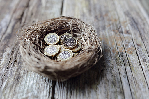The figure is a photo of a bird’s nest containing several one-pound coins.