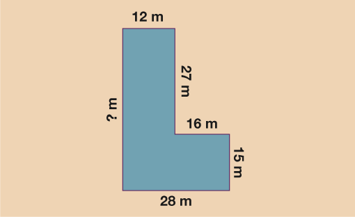 Described Image