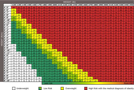 Extended Bmi Chart