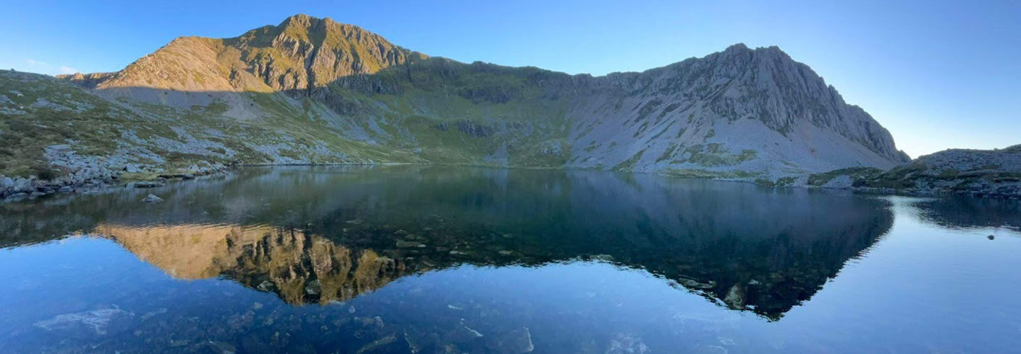 See where curiosity takes you