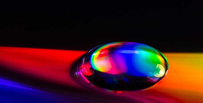 The autistic spectrum: From theory to practice