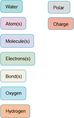 Described image