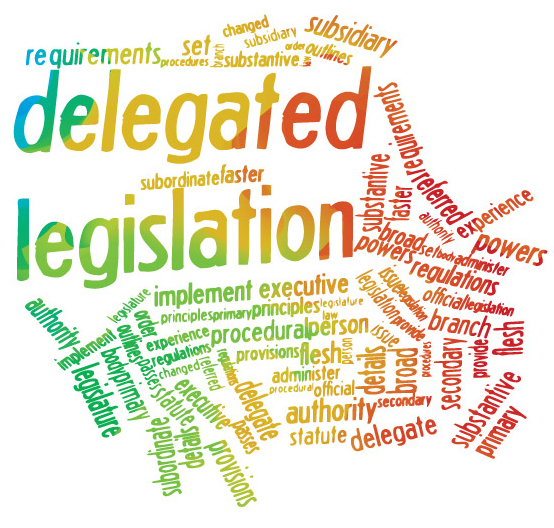 Figure 29 contains a number or words associated with delegated legislation and scrutiny.