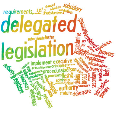 Figure 29 contains a number or words associated with delegated legislation and scrutiny.