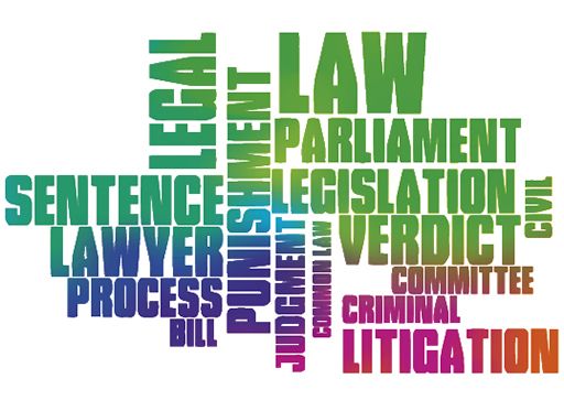 Figure 2 contains words that are commonly associated with law making.