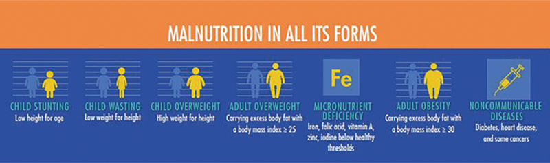 A diagram showing the different scales of nutrition.