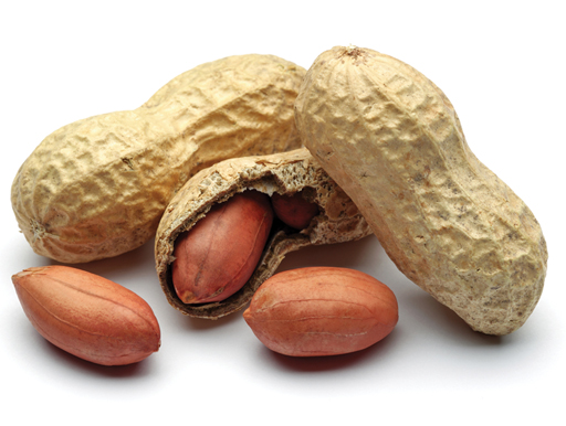A selection of peanuts, two outside of their shell, and two inside their shell.