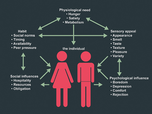 An infographic showing a male and a female figure.