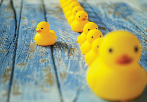 A photograph of a line of yellow plastic ducks, with one out of the line.