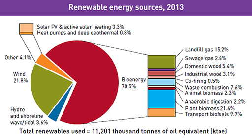 Primary energy contributions from renewable energy sources in the UK, 2016 (source DECC, 2017)