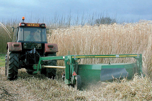 Harvesting miscanthus using conventional agricultural machinery