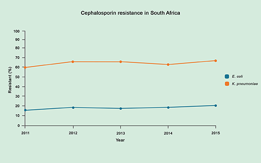 A line graph of cephalosporin resistance in K.pneumoniae and E.coli in South Africa between 2011 and 2015.