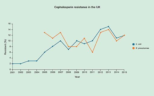 A line graph showing cephalosporin resistance in K.pneumoniae and E.coli in the UK between 2001 and 2015.