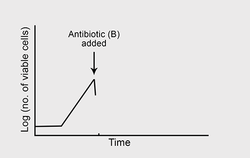 A representation of the growth of a bacterium in the presence of antibiotic B.