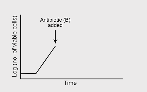 A representation of the growth of a bacterium in the absence of antibiotic B.