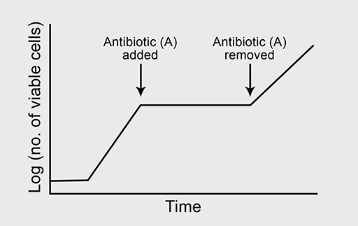 A representation of the growth of a bacterium in the presence of antibiotic A.