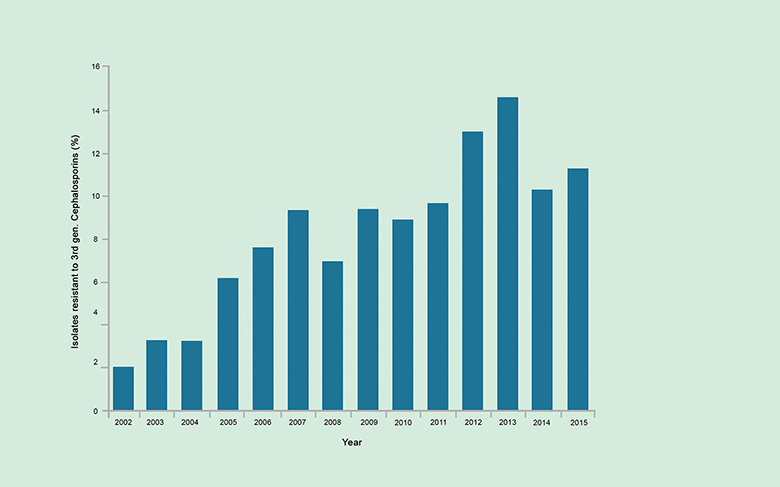 A bar graph showing resistance to cephalosporins in the UK between 2002 and 2015.