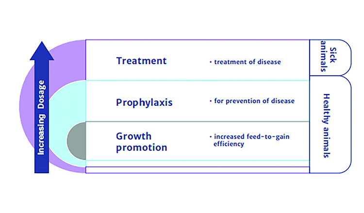 An infographic of the uses of antibiotics in animals.
