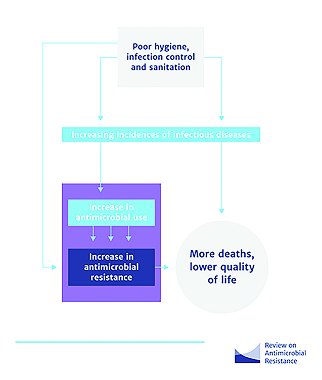 An infographic of how poor infection control contributes to resistance and loss of life.