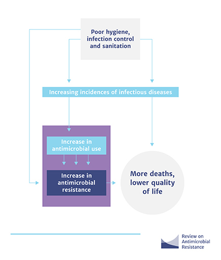 An infographic of how poor infection control contributes to resistance and loss of life.