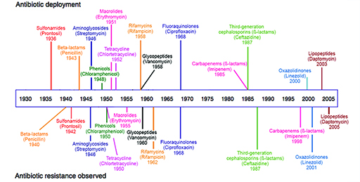 A timeline showing the date of introduction and resistance of main antibiotic classes.