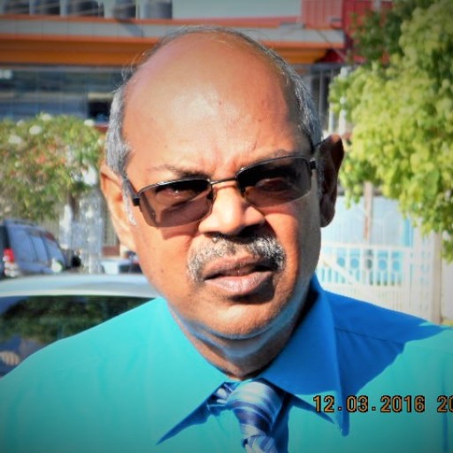 Profile: HOLLIS Sankar