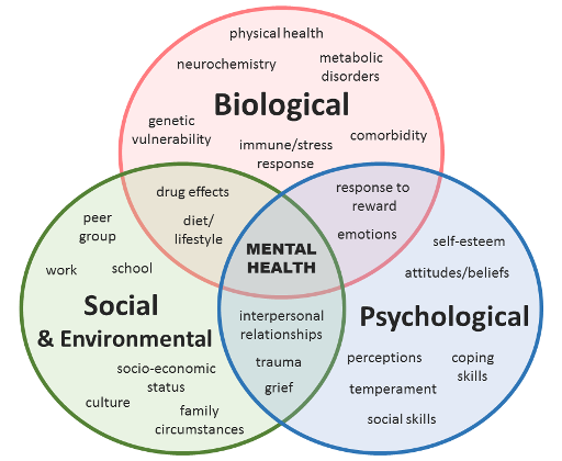 The Biopsychosocial Model And Health Psychology