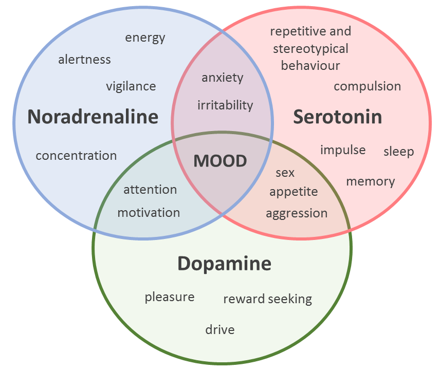 Exploring the relationship between anxiety and depression: Figure 2 ...