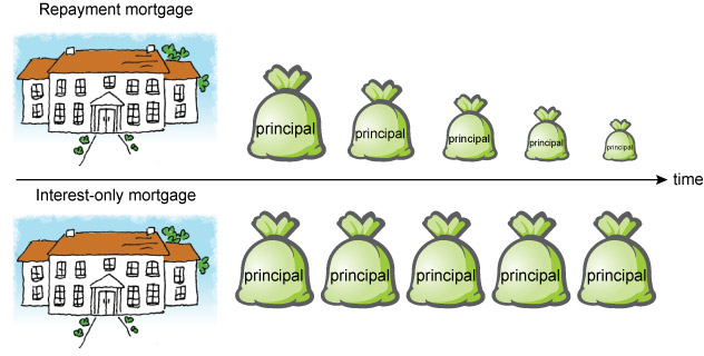 Described image