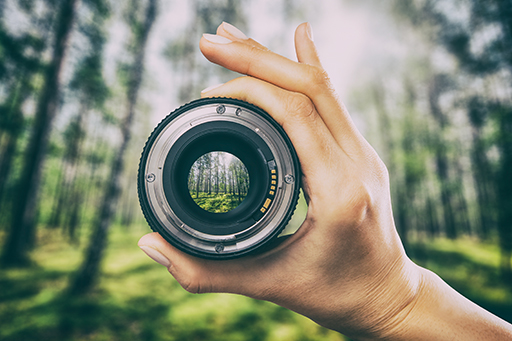 A hand holds a camera lens in front of an image of woodland.