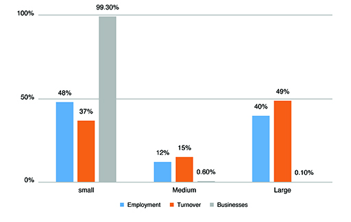 A chart that shows the share of enterprises between small, medium and large businesses.