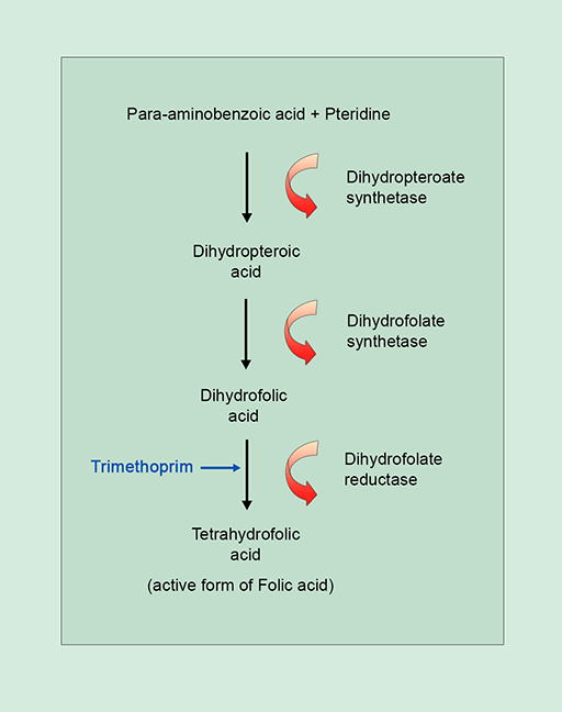 Understanding antibiotic resistance 2.4 OpenLearn Open University