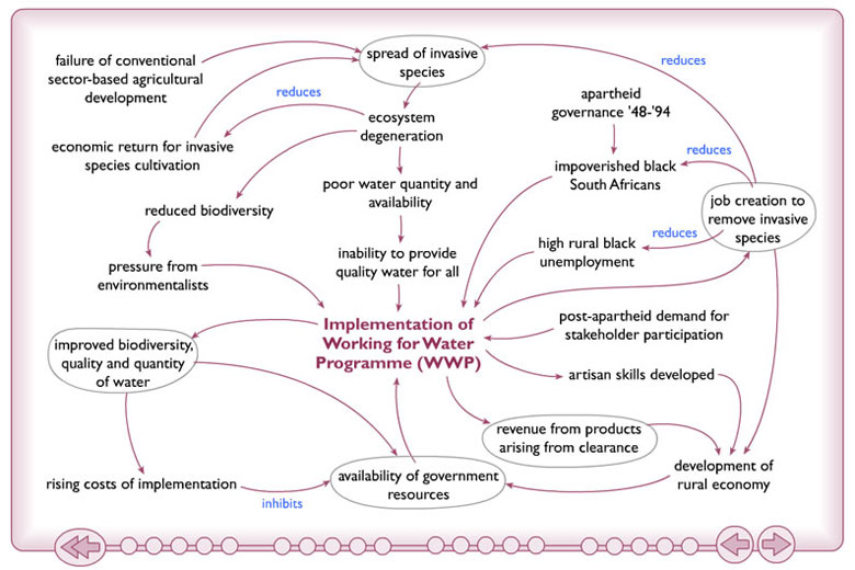 Figure 5 Causal factors associated with implementing WWP