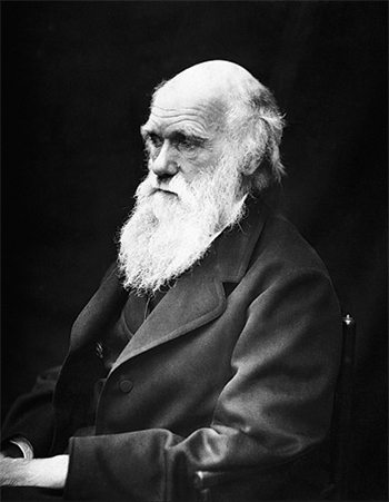 Black and white picture of Charles Darwin