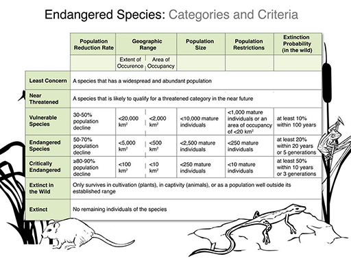 Chart showing categories and criteria used to describe the status of endangered species