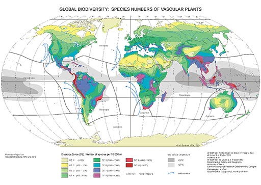 Atlas image of biodiversity of vascular plants