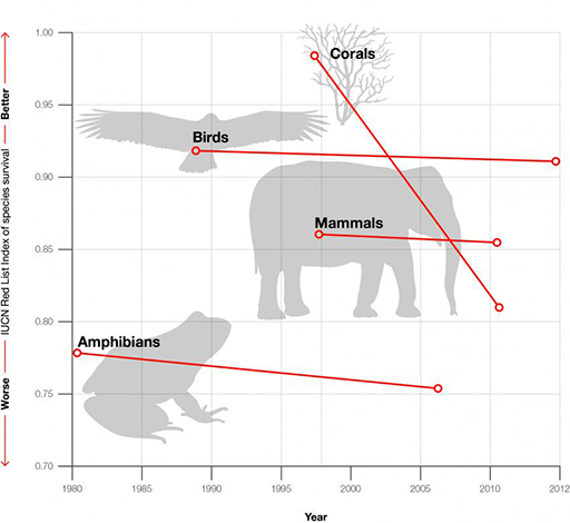 Chart showing the Red List index of species survival for four groups of animals.