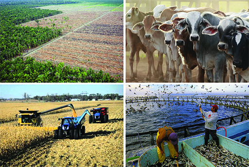 4 images, Deforestation of habitats for crop production, Increased greenhouse-gas emission from intensive livestock farming,Commercial agriculture and excessive use of pesticides, Nutrient enrichment of water bodies from aquaculture (bottom right).