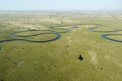 Picture of a Botswana River
