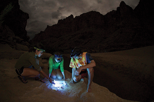 Collecting a light-trap sample of adult aquatic insects in the Grand Canyon