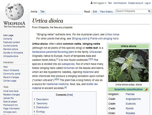 Wikipedia entry for stinging nettle