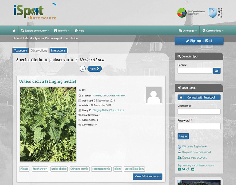 Species dictionary observations on iSpot website