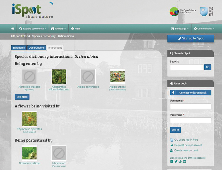Species dictionary interactions on iSpot