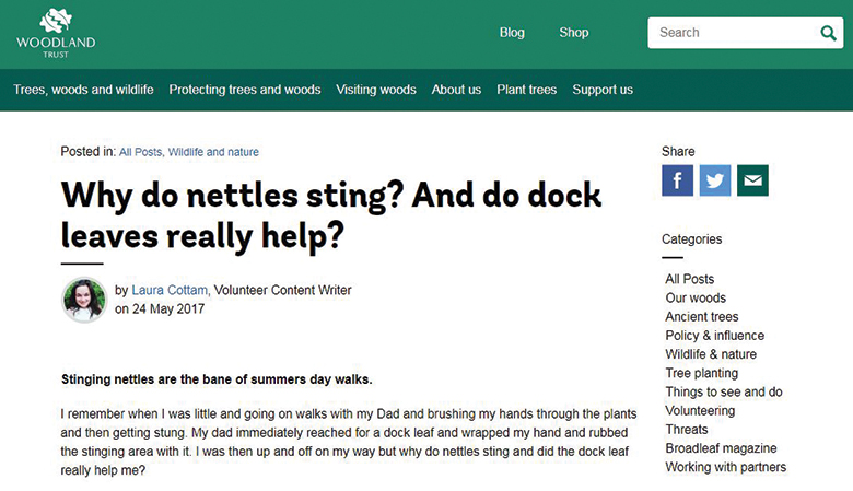 Woodland page about sting relief