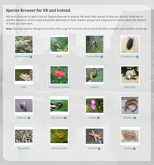 iSpot’s Species Browser – main page