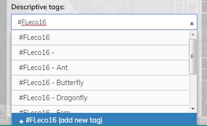 Adding descriptive tags