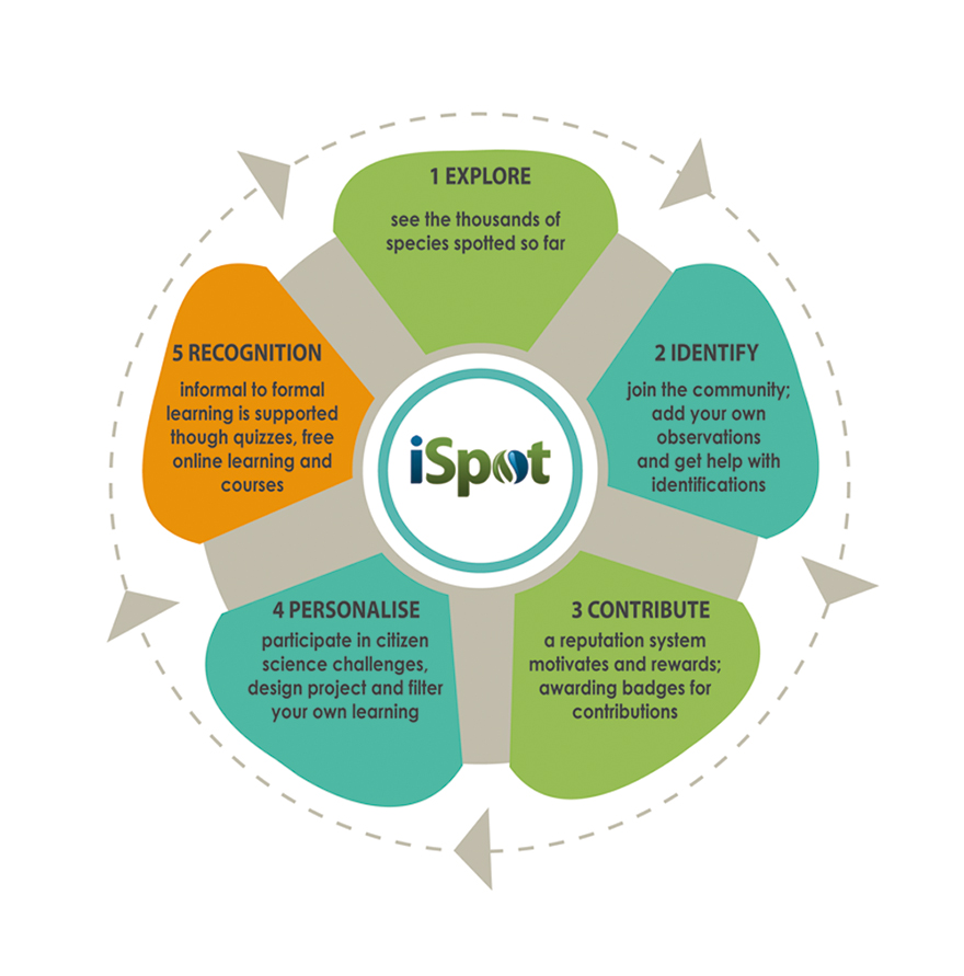 iSpot graphs